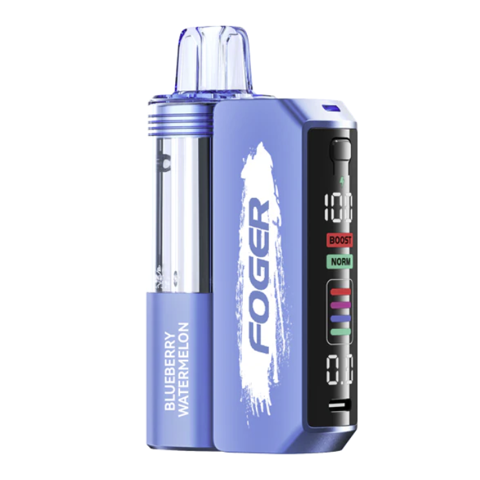VAPE FOGER KIT 30K BLUEBERRY WATERMELON 5PK