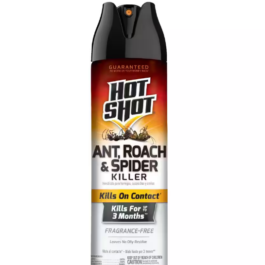 ANT/ROACH/SPIDER KILLER HOTSHOT SPRAY FRAG FREE 17.5OZ 1CT