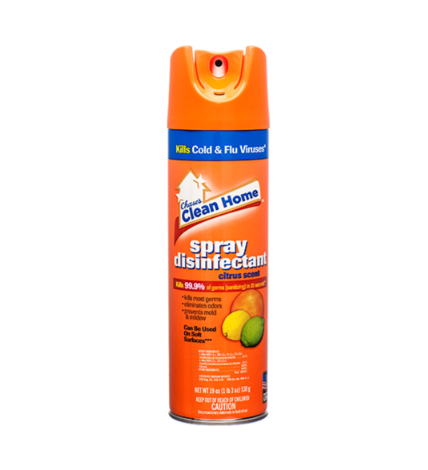 CLEAN HOME SPRAY DISINFECTANT CITRUS SCENT 19 OZ 1CT