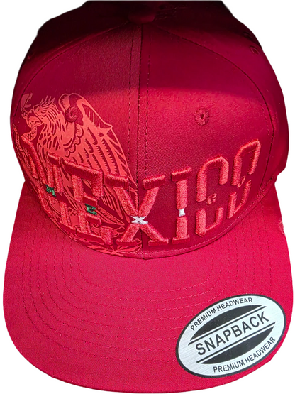 HATS SNAPBACK STYLE VARIETY 1CT